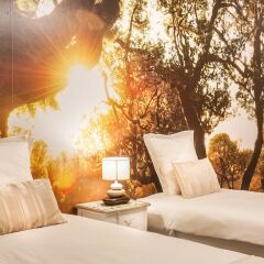 Отель Apartamento Princesa Madeira комната для гостей фото 4