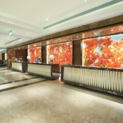 Отель Lakeside Hotel Xiamen Airline Китай, Сямынь - отзывы, цены и фото номеров - забронировать отель Lakeside Hotel Xiamen Airline онлайн фото 13