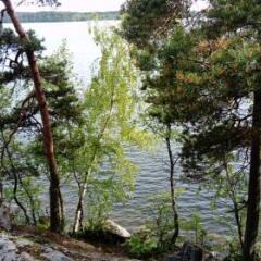 Отель Hostel Immalanjärvi Финляндия, Иматра - отзывы, цены и фото номеров - забронировать отель Hostel Immalanjärvi онлайн приотельная территория