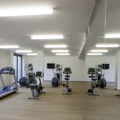 Radisson Blu Park Royal Palace Hotel фитнесс-зал фото 2
