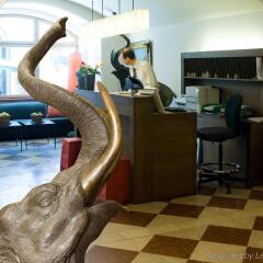 Отель Elefant Австрия, Зальцбург - отзывы, цены и фото номеров - забронировать отель Elefant онлайн спа