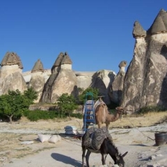 Coco Cave Hotel Турция, Гёреме - отзывы, цены и фото номеров - забронировать отель Coco Cave Hotel онлайн пляж фото 2