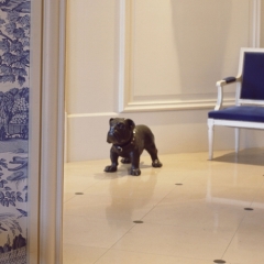Hotel Le Royal Lyon MGallery by Sofitel с домашними животными