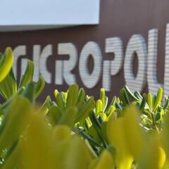 Отель AKROPOLI Голем интерьер отеля