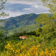 Отель Agriturismo Casa Passerini a Firenze Италия, Лонда - отзывы, цены и фото номеров - забронировать отель Agriturismo Casa Passerini a Firenze онлайн фото 18