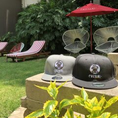 Отель Pug Seal B&B Coyoacan Мексика, Мехико - отзывы, цены и фото номеров - забронировать отель Pug Seal B&B Coyoacan онлайн фото 4