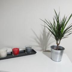 Отель Appartement Toulouse Capitole Франция, Тулуза - отзывы, цены и фото номеров - забронировать отель Appartement Toulouse Capitole онлайн комната для гостей