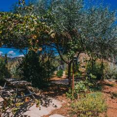 Отель Tur Sinai Organic Farm Resort Иерусалим фото 7
