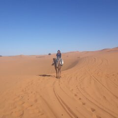 Отель Etoile Sahara Camp Марокко, Мерзуга - отзывы, цены и фото номеров - забронировать отель Etoile Sahara Camp онлайн приотельная территория фото 2