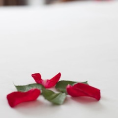 Hotel Bel Ami Hanoi детские мероприятия