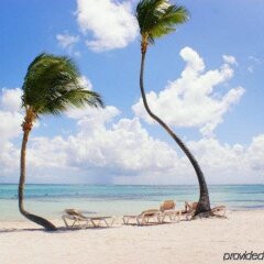 Отель Tortuga Bay Доминикана, Пунта Кана - отзывы, цены и фото номеров - забронировать отель Tortuga Bay онлайн фото 6