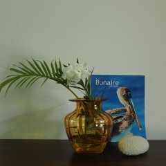 Kas ChuChubi in Kralendijk, Bonaire, Sint Eustatius and Saba from 86$, photos, reviews - zenhotels.com hotel interior