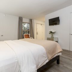 Отель L.A. Sky Boutique Hotel США, Лос-Анджелес - отзывы, цены и фото номеров - забронировать отель L.A. Sky Boutique Hotel онлайн фото 14