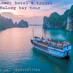 Отель Mayflower Hotel Hanoi Вьетнам, Ханой - отзывы, цены и фото номеров - забронировать отель Mayflower Hotel Hanoi онлайн приотельная территория фото 2