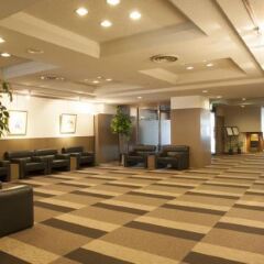Отель Smile Hotel Tomakomai Япония, Томакомай - отзывы, цены и фото номеров - забронировать отель Smile Hotel Tomakomai онлайн интерьер отеля