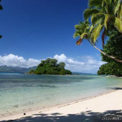 Naigani Island Resort in Korovou, Fiji from 460$, photos, reviews - zenhotels.com beach
