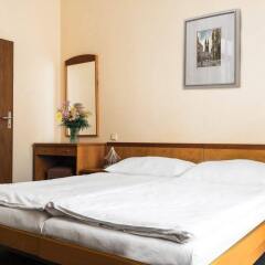 Hotel Dalimil комната для гостей фото 5