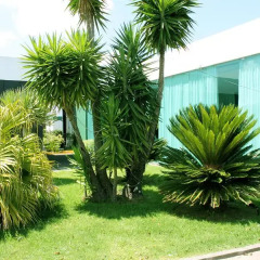 Отель Quinta de Santa Bárbara Casas Turisticas фото 6