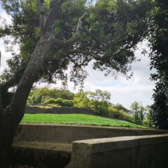 Отель Quinta das Camelias Понта-Делгада