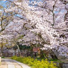 Отель Elitz INN Shijo Karasuma
