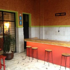 Tequila Hostel гостиничный бар