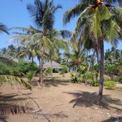 Hotel Star White Negombo пляж