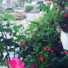 Отель Venice Palace Hotel Италия, Мирано - отзывы, цены и фото номеров - забронировать отель Venice Palace Hotel онлайн фото 16