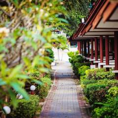 Отель Sunset Beach Club Hotel & Spa Таиланд, Ко-Пханган - отзывы, цены и фото номеров - забронировать отель Sunset Beach Club Hotel & Spa онлайн фото 5