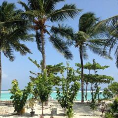 Отель Huvan Beach Hotel at Hulhumale' Мальдивы, Атолл Каафу - отзывы, цены и фото номеров - забронировать отель Huvan Beach Hotel at Hulhumale' онлайн фото 5