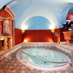 Отель Hoffmeister&Spa бассейн