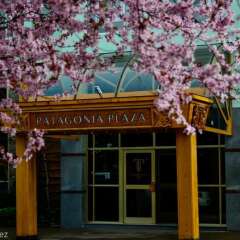 Hotel Patagonia Plaza фитнесс-зал фото 3