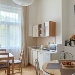 Апартаменты Old Story Apartment Прага в номере фото 2