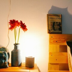 GoGo Dalat Hostel Далат интерьер отеля фото 2