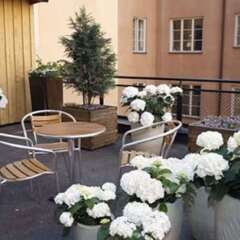 Clarion Collection Hotel Wellington