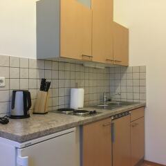 Отель United Homes Apartments Vienna Австрия, Вена - отзывы, цены и фото номеров - забронировать отель United Homes Apartments Vienna онлайн в номере фото 2