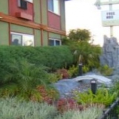 Отель Royal Pagoda Motel США, Лос-Анджелес - отзывы, цены и фото номеров - забронировать отель Royal Pagoda Motel онлайн фото 4