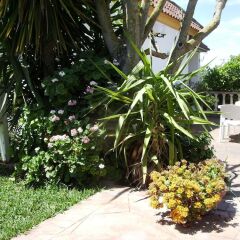 Отель Finca La Luz Bed & Breakfast фото 7