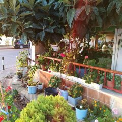 Yali Otel Турция, Сиде - отзывы, цены и фото номеров - забронировать отель Yali Otel онлайн бассейн