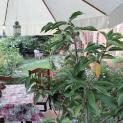 Отель Ca' Norino B&B Кандия-Ломеллина фото 20