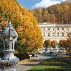 Отель Parkhotel Richmond Карловы Вары фото 4