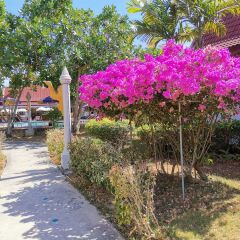 Отель Holiday Villa Ланта фото 10