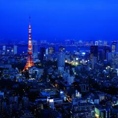 Отель The Ritz Carlton Tokyo Токио балкон