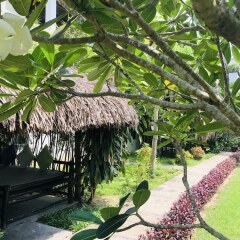 Отель An Bang Garden Homestay фото 17