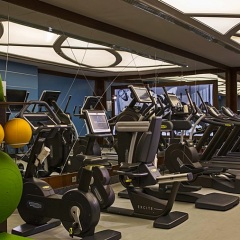 Renaissance Izmir Hotel фитнесс-зал