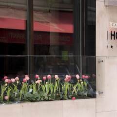 Hotel Cambon сауна