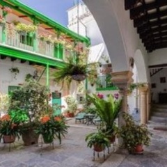 Отель Apartamentos Jerez Испания, Херес-де-ла-Фронтера - отзывы, цены и фото номеров - забронировать отель Apartamentos Jerez онлайн фото 28