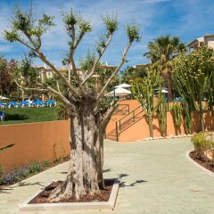 Отель 3HB Clube Humbria - All Inclusive с домашними животными