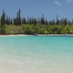 Oure Lodge Beach Resort in Isle of Pines, New Caledonia from 285$, photos, reviews - zenhotels.com photo 9