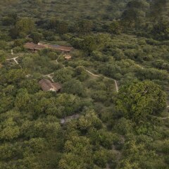 Отель Leopard Nest Luxury Campsite фото 5