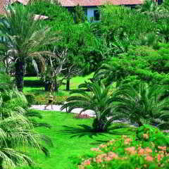 Sunrise Resort Hotel - All Inclusive фото 7